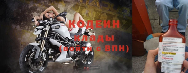молекула духа Арсеньев