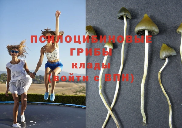 молекула духа Арсеньев