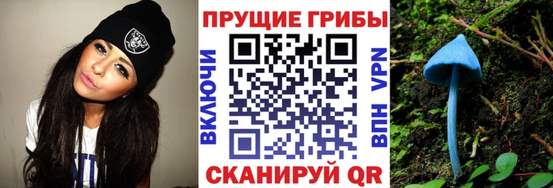 Купить  Болхов  Галлюциногенные грибы прущие грибы 